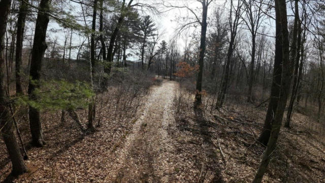 73+/- ACRES GERMANTOWN ROAD, NEW LISBON, WI 53950, photo 3 of 49
