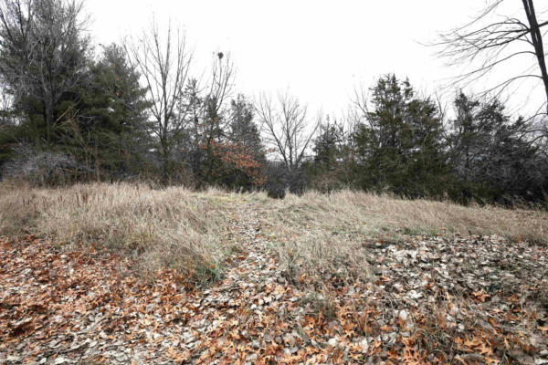 LOT 29 SUMMIT DRIVE, PARDEEVILLE, WI 53954, photo 4 of 13